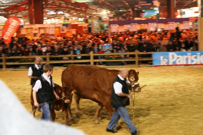 cga 2012 030.JPG